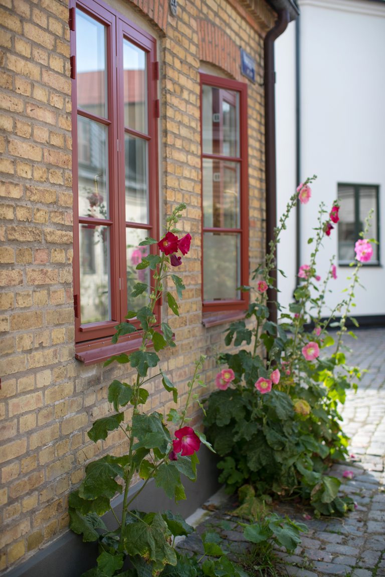 DOFAB kultur utåtgående röda gatuhus lund stockrosor Inspiration DOFAB